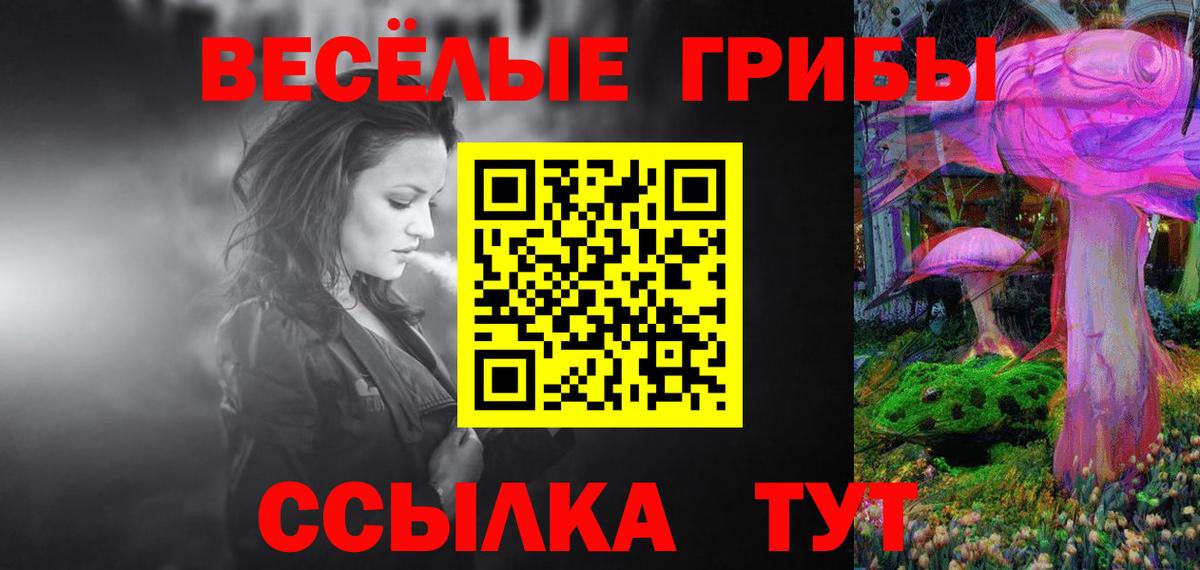 Миасс  Псилоцибиновые грибы Psilocybe  Вход с VPN 